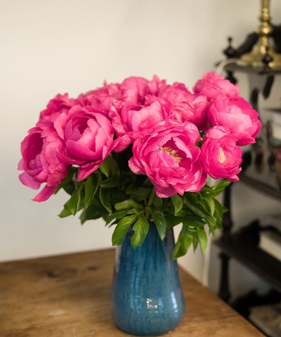 Pivoines roses dans un vase bleu